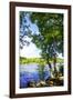 Spring on the River III-Alan Hausenflock-Framed Photographic Print