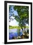 Spring on the River III-Alan Hausenflock-Framed Photographic Print