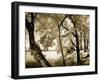 Spring on the River IV-Alan Hausenflock-Framed Photographic Print