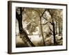 Spring on the River IV-Alan Hausenflock-Framed Photographic Print