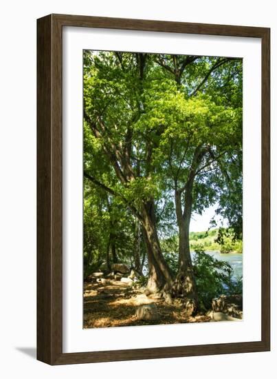 Spring on the River IV-Alan Hausenflock-Framed Photographic Print