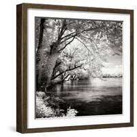 Spring on the River Square I-Alan Hausenflock-Framed Photographic Print