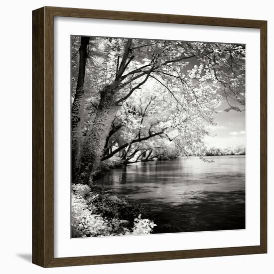 Spring on the River Square I-Alan Hausenflock-Framed Photographic Print