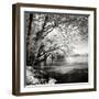 Spring on the River Square I-Alan Hausenflock-Framed Photographic Print