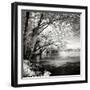 Spring on the River Square I-Alan Hausenflock-Framed Photographic Print