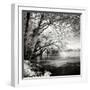 Spring on the River Square I-Alan Hausenflock-Framed Photographic Print