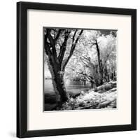 Spring on the River Square II-Alan Hausenflock-Framed Art Print