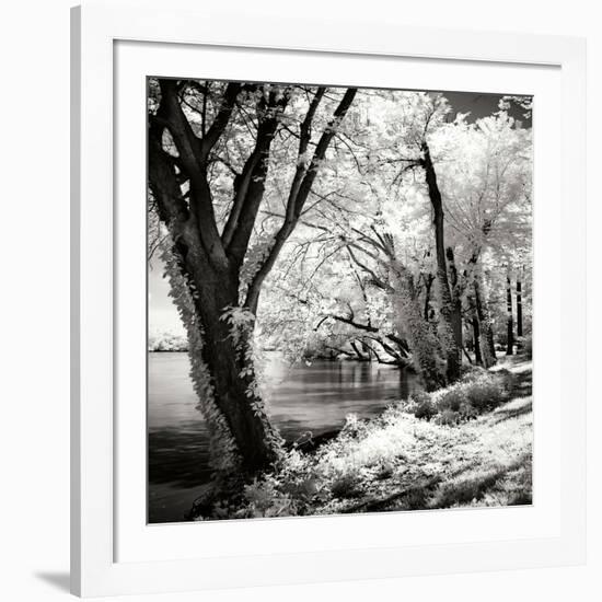 Spring on the River Square II-Alan Hausenflock-Framed Photographic Print