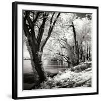 Spring on the River Square II-Alan Hausenflock-Framed Photographic Print