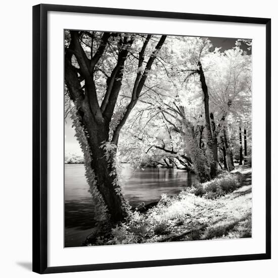 Spring on the River Square II-Alan Hausenflock-Framed Photographic Print