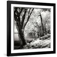 Spring on the River Square II-Alan Hausenflock-Framed Photographic Print