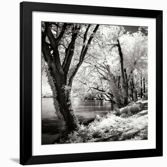 Spring on the River Square II-Alan Hausenflock-Framed Photographic Print