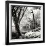 Spring on the River Square II-Alan Hausenflock-Framed Photographic Print