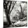 Spring on the River Square II-Alan Hausenflock-Mounted Photographic Print