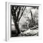 Spring on the River Square II-Alan Hausenflock-Framed Photographic Print