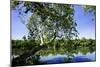 Spring on the River VI-Alan Hausenflock-Mounted Photographic Print