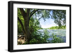 Spring on the River VII-Alan Hausenflock-Framed Photographic Print