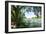 Spring on the River VII-Alan Hausenflock-Framed Photographic Print