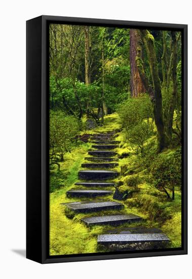 Spring on the Steps, Portland Japanese Garden, Portland, Oregon, USA-Michel Hersen-Framed Stretched Canvas