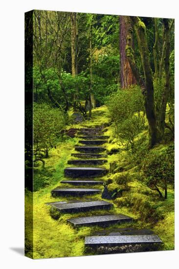 Spring on the Steps, Portland Japanese Garden, Portland, Oregon, USA-Michel Hersen-Stretched Canvas