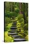 Spring on the Steps, Portland Japanese Garden, Portland, Oregon, USA-Michel Hersen-Stretched Canvas