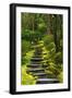 Spring on the Steps, Portland Japanese Garden, Portland, Oregon, USA-Michel Hersen-Framed Premium Photographic Print