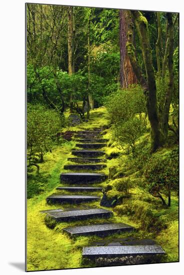 Spring on the Steps, Portland Japanese Garden, Portland, Oregon, USA-Michel Hersen-Mounted Premium Photographic Print