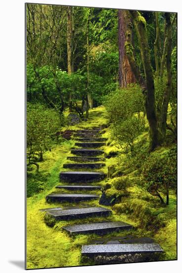 Spring on the Steps, Portland Japanese Garden, Portland, Oregon, USA-Michel Hersen-Mounted Photographic Print