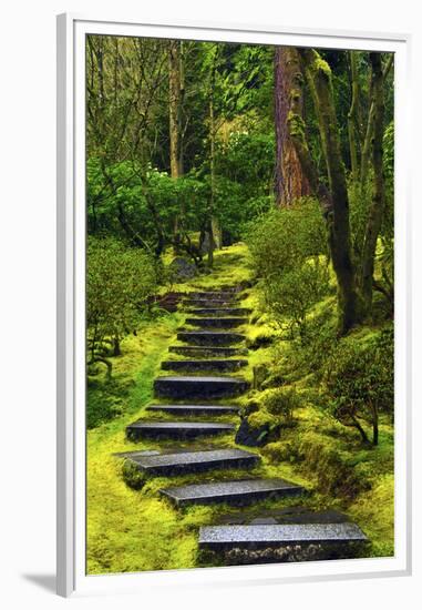 Spring on the Steps, Portland Japanese Garden, Portland, Oregon, USA-Michel Hersen-Framed Premium Photographic Print