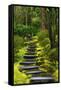 Spring on the Steps, Portland Japanese Garden, Portland, Oregon, USA-Michel Hersen-Framed Stretched Canvas