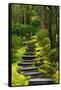 Spring on the Steps, Portland Japanese Garden, Portland, Oregon, USA-Michel Hersen-Framed Stretched Canvas