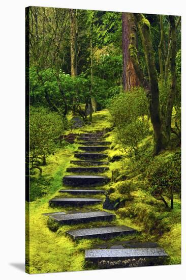 Spring on the Steps, Portland Japanese Garden, Portland, Oregon, USA-Michel Hersen-Stretched Canvas