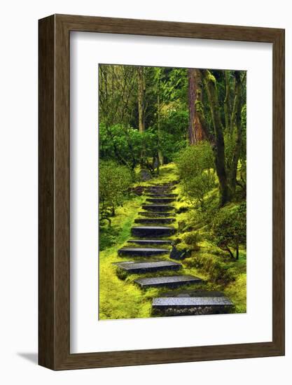 Spring on the Steps, Portland Japanese Garden, Portland, Oregon, USA-Michel Hersen-Framed Photographic Print