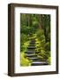 Spring on the Steps, Portland Japanese Garden, Portland, Oregon, USA-Michel Hersen-Framed Photographic Print