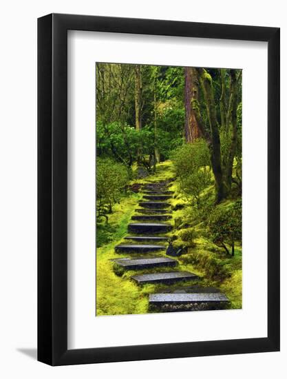 Spring on the Steps, Portland Japanese Garden, Portland, Oregon, USA-Michel Hersen-Framed Photographic Print