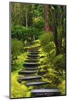 Spring on the Steps, Portland Japanese Garden, Portland, Oregon, USA-Michel Hersen-Mounted Photographic Print