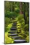 Spring on the Steps, Portland Japanese Garden, Portland, Oregon, USA-Michel Hersen-Mounted Photographic Print