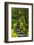 Spring on the Steps, Portland Japanese Garden, Portland, Oregon, USA-Michel Hersen-Framed Premium Photographic Print