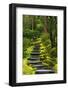 Spring on the Steps, Portland Japanese Garden, Portland, Oregon, USA-Michel Hersen-Framed Premium Photographic Print