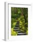 Spring on the Steps, Portland Japanese Garden, Portland, Oregon, USA-Michel Hersen-Framed Premium Photographic Print