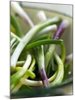 Spring Onions in a Dish-Neil Corder-Mounted Photographic Print