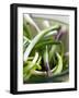 Spring Onions in a Dish-Neil Corder-Framed Photographic Print