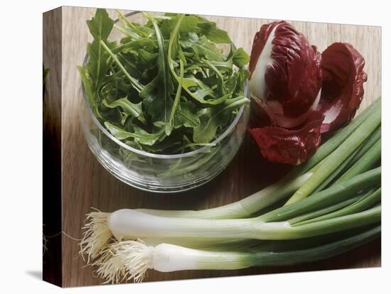 Spring Onions, Radicchio and a Bowl of Rocket-Eising Studio - Food Photo and Video-Stretched Canvas