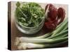 Spring Onions, Radicchio and a Bowl of Rocket-Eising Studio - Food Photo and Video-Stretched Canvas