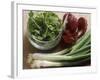 Spring Onions, Radicchio and a Bowl of Rocket-Eising Studio - Food Photo and Video-Framed Photographic Print