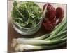 Spring Onions, Radicchio and a Bowl of Rocket-Eising Studio - Food Photo and Video-Mounted Photographic Print