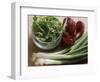 Spring Onions, Radicchio and a Bowl of Rocket-Eising Studio - Food Photo and Video-Framed Photographic Print