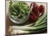 Spring Onions, Radicchio and a Bowl of Rocket-Eising Studio - Food Photo and Video-Mounted Photographic Print