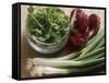 Spring Onions, Radicchio and a Bowl of Rocket-Eising Studio - Food Photo and Video-Framed Stretched Canvas