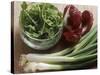 Spring Onions, Radicchio and a Bowl of Rocket-Eising Studio - Food Photo and Video-Stretched Canvas